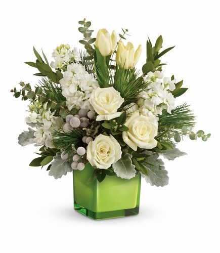 Teleflora's Winter Pop Bouquet